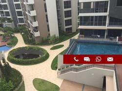 Palm Isles (D17), Condominium #193952372